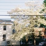 Best Swingers Clubs in Northampton UK